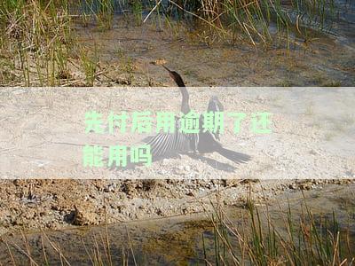 先付后用逾期会怎么样？PDD先付后用逾期处理方式及还款建议