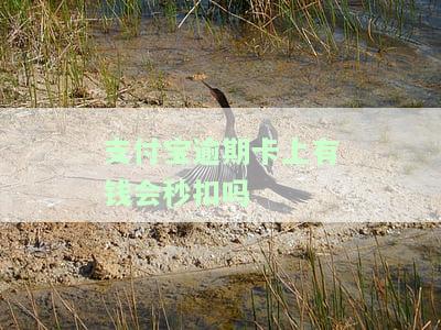 支付宝逾期卡上是否有钱会被秒扣？安全吗？