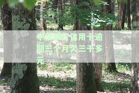 中信银行信用卡逾期三个月欠三千多元会有什么后果？