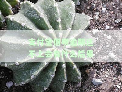 支付宝蚂蚁借呗逾期还款的严重后果是什么？会对个人信用产生影响吗？