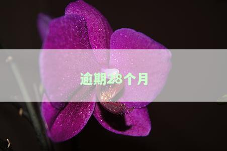 逾期28天：严重性、可能的后果与解决方案