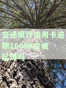 欠交通银行信用卡1万还不起了？解决方案在此！