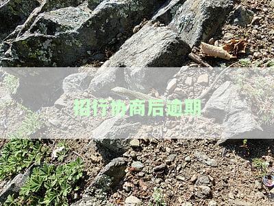 招行协商后逾期-招行协商后逾期会怎么样