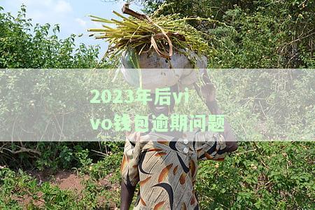 Vivo钱包逾期4天：充钱会自动扣款吗？逾期60天后还能使用吗？逾期多久会联系家人朋友？
