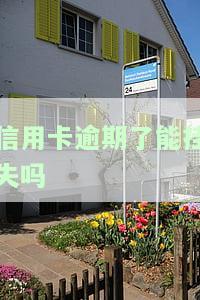 信用卡逾期后能否挂失？已丢失的信用卡还能补办吗？