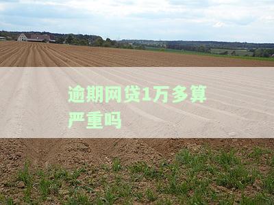 逾期网贷1万多算严重吗？如何处理？会坐牢吗？