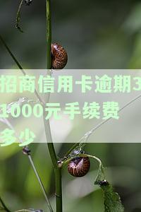 招商银行信用卡3000逾期三个月，真的会被起诉吗？