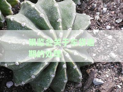银监局汽车贷款管理办法：全文、规定与最新资讯