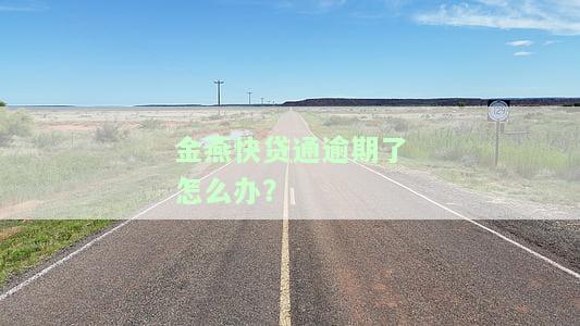 金燕快贷通：提前还款、使用年限、还款方式、额度恢复及申请难易全解析