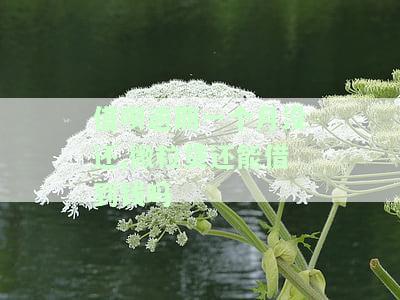 借呗逾期一个月没还，微粒贷还能借款吗？解决方法与后果解析