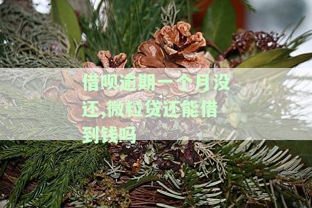 借呗逾期一个月没还,微粒贷还能借到钱吗-借呗逾期一个月没还,微粒贷还能借到钱吗