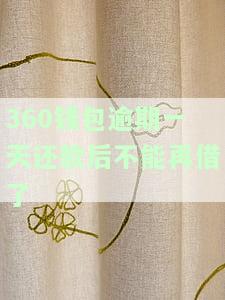 360钱包逾期一天还款后不能再借了-360钱包逾期一天还款后不能再借了吗