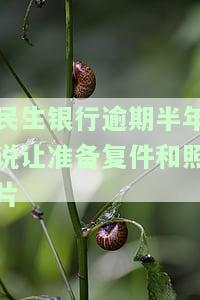 民生银行说逾期正常走流程：逾期7个月总行来电处理方法