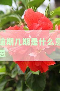 逾期几期会上征信？影响、后果及时间解析