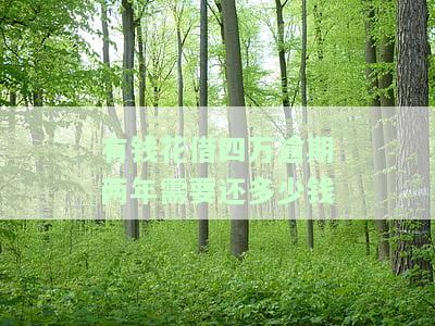 有钱花借四万逾期两年，需要还多少费用？