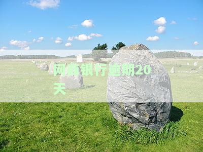 网商银行逾期20天会怎样？逾期还款后能否继续使用？逾期一次还清多久恢复额度？逾期两年今日被催收是否会上门？