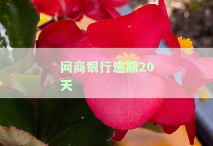 网商银行逾期20天如何处理？还款后能否继续使用？逾期后还能分期吗？
