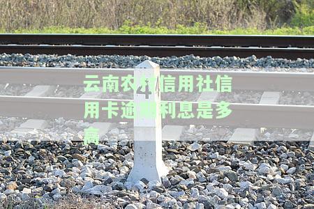 云南信用社信用卡逾期可以协商分期吗？逾期几天有利息？如何还款有延期？