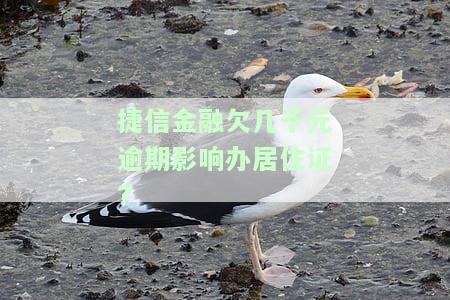 捷信金融逾期记录会影响买车、房贷申请吗？逾期后能否正常使用？