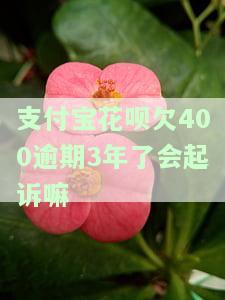 支付宝花呗欠400逾期3年了会起诉吗？解决方案是什么？