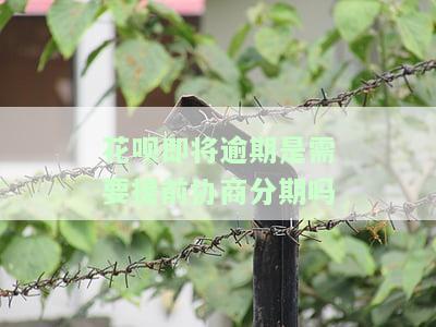 花呗即将逾期是否需要提前协商分期？安全吗？