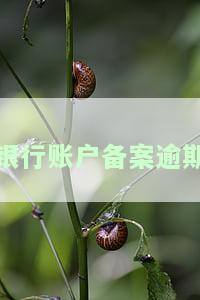 如何处理银行账户备案逾期？超过15天怎么办？