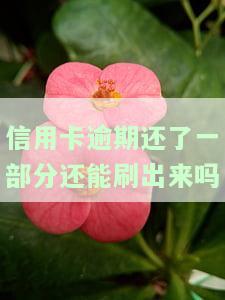 逾期的信用卡还进去能否再刷？安全性及处理方法解析