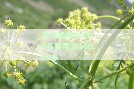 花呗逾期10000多要需还30000多