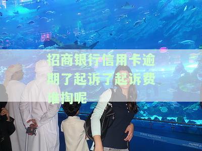 招商逾期起诉我了：影响、解决办法及协商分期可能性