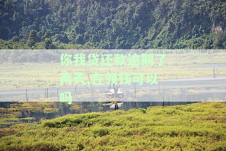 你我贷还款逾期两天，能否继续借款并领取资金？逾期影响及安全性探讨