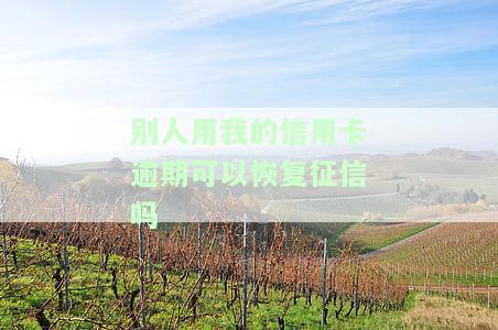 别人用自己信用卡逾期，能否起诉？