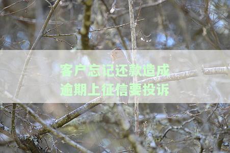 如何处理逾期客户故意不还款？