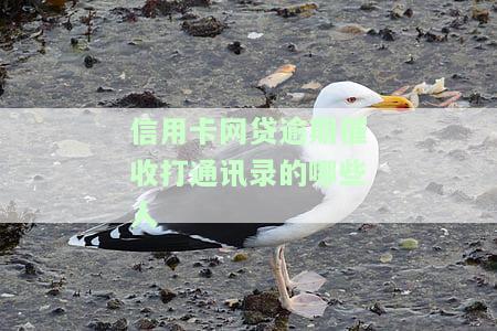 网贷催收打联系人合法吗？了解相关法规与处理方法