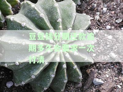 豆豆钱分期审核多久出额度？通过率、评价及分期选项全解析