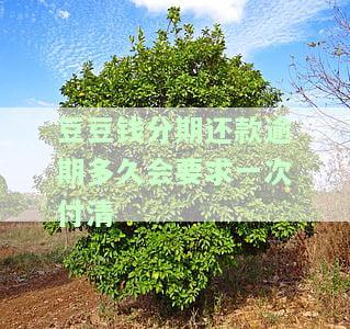豆豆钱逾期15天，今日发信息称解除分期，是否真实？其他类似情况解析