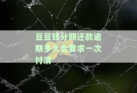 豆豆钱分期还款逾期多久会要求一次付清-豆豆钱逾期三天,取消分期,要求一次性归还