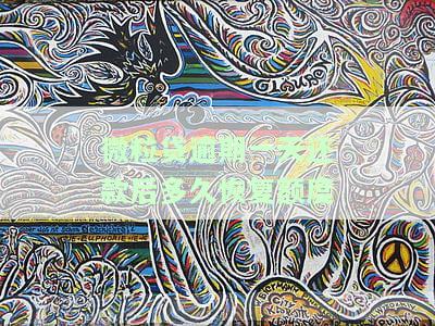 微粒贷逾期一天还款后多久恢复额度？影响及恢复方法全解析