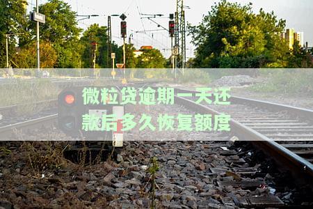 微粒贷逾期1天后还款，对征信有影响吗？