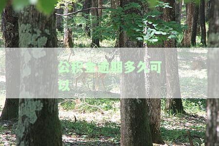公积金逾期多久可以-公积金逾期多久可以消除不良记录