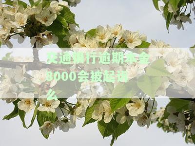 交通银行逾期本金8000会被起诉么知乎？逾期还款利息翻倍需多少？