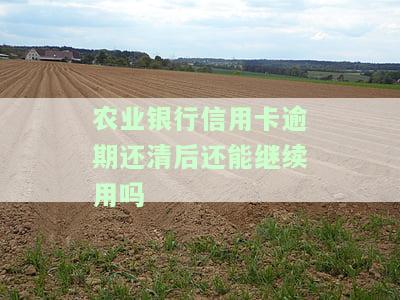 农业银行信用卡逾期还清后还能继续用吗-农业银行信用卡逾期还清后还能继续用吗