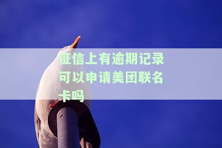 征信不好可以申请美团生活费吗？安全性、申请流程及知乎回答全解析