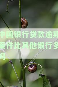 中国银行贷款逾期被起诉立案后如何解决？信用卡欠款低于5万是否立案？逾期多久会被催收和起诉？若已被起诉，应如何应对？
