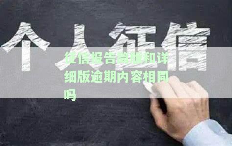 征信报告简版有用吗？详解简版与详细版的区别及简版的实用价值