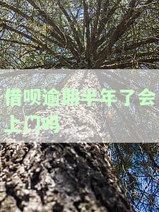 借呗逾期半年多：全部还清后能否恢复额度及影响购房？收到起诉通知怎么办？