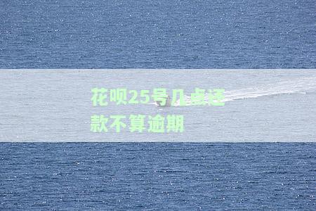 花呗20号几点前要还清全部账单？