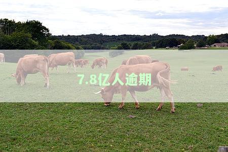 78亿人负债46.2%，逾期问题引发关注