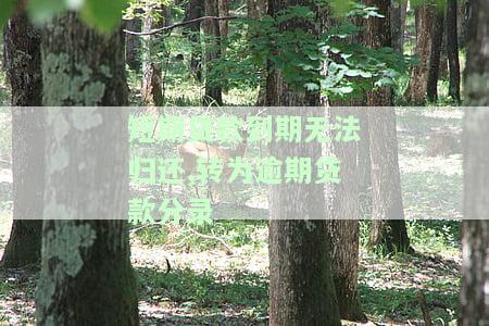 如何处理短期借款到期无力偿还的会计分录?