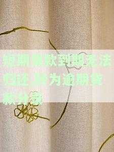 短期贷款到期无法归还,转为逾期贷款分录