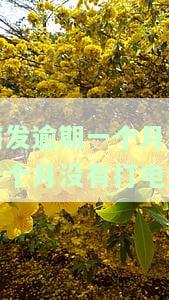 浦发银行逾期一个月要求全额还款，如何应对？